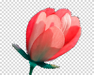 Sfumatura = 0 Sfumatura = 0